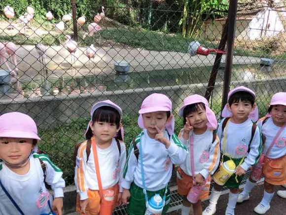 年少遠足
