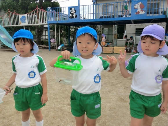 年中保育参観日
