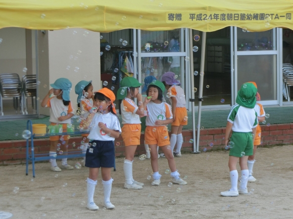 頑張っています