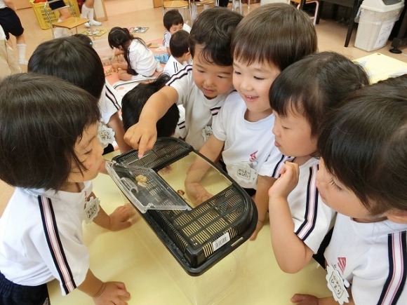 今日のさくら組