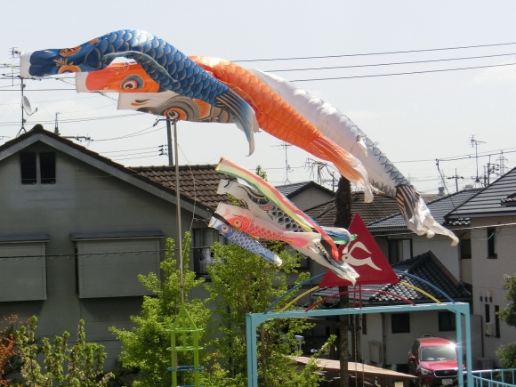 一週間の始まりです