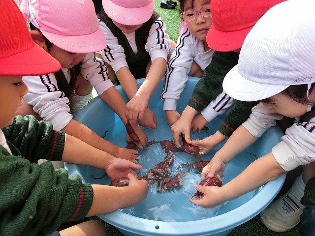 今日の子供達