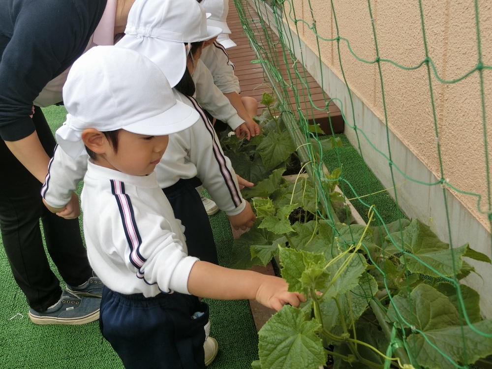 今日から幼稚園が再開しました！