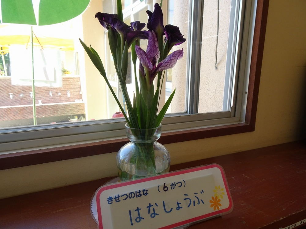 今週も元気いっぱいです！