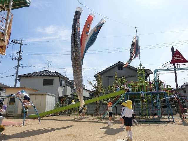 こいのぼりが登場！