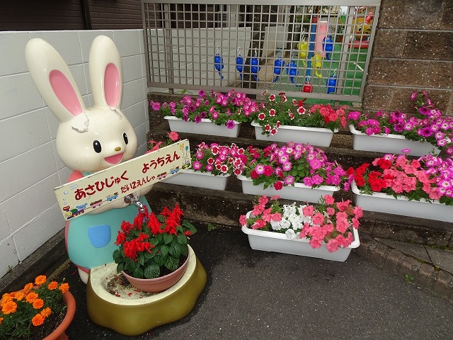 今日の幼稚園