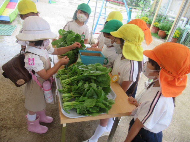 今日の子供達