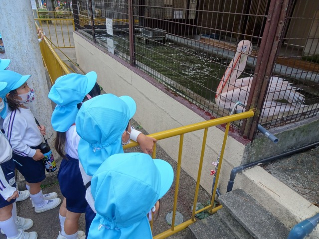 年中 遠足(池田動物園)