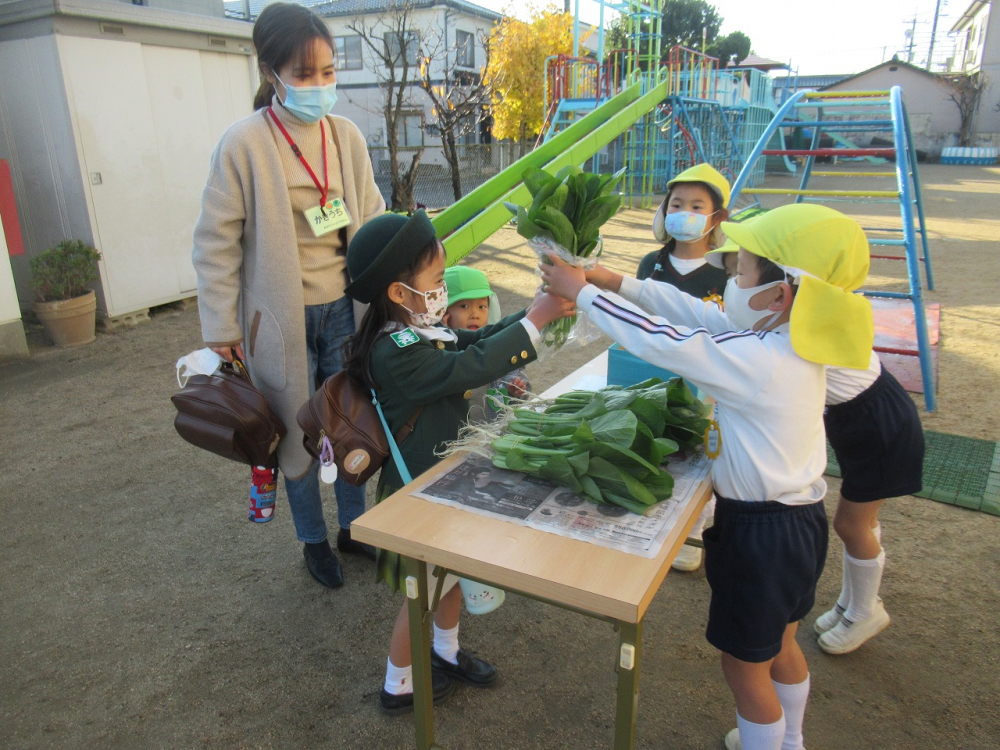 青空市場・科学の心ワークショップ（年長）