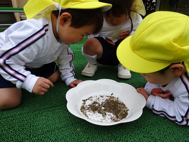 今日の第２園舎