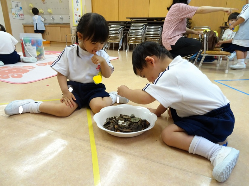 今日のたんぽぽ組
