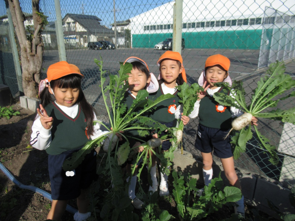 １１月最終日