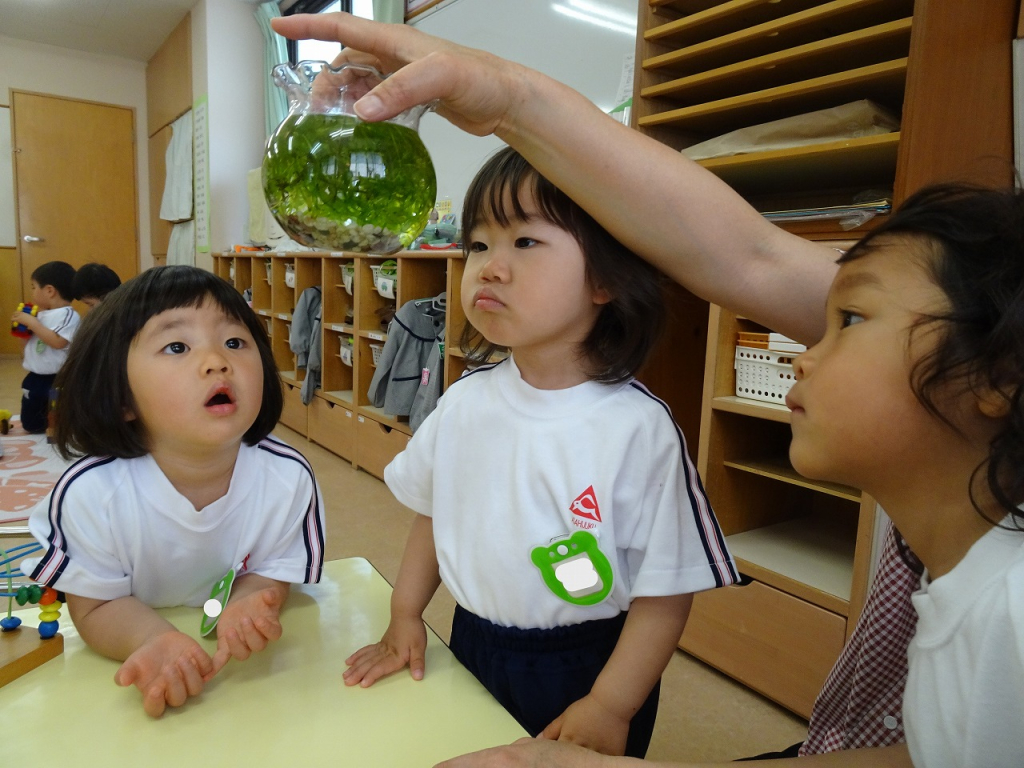 今日の２歳さん