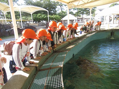 年長遠足（渋川水族館）