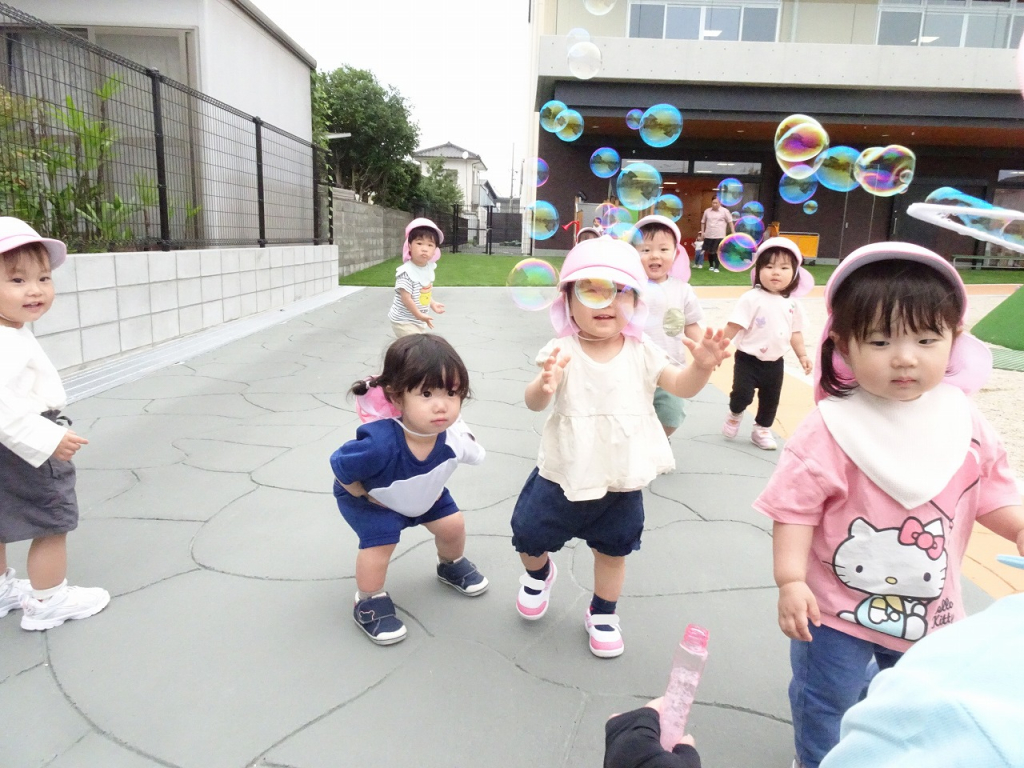 今日のルビー組