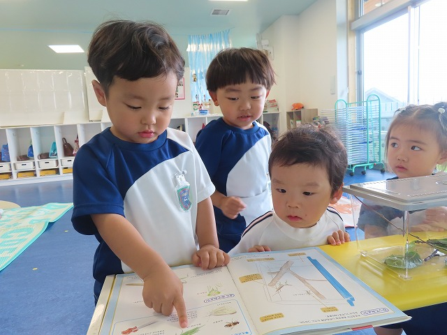 今日のかぜ組