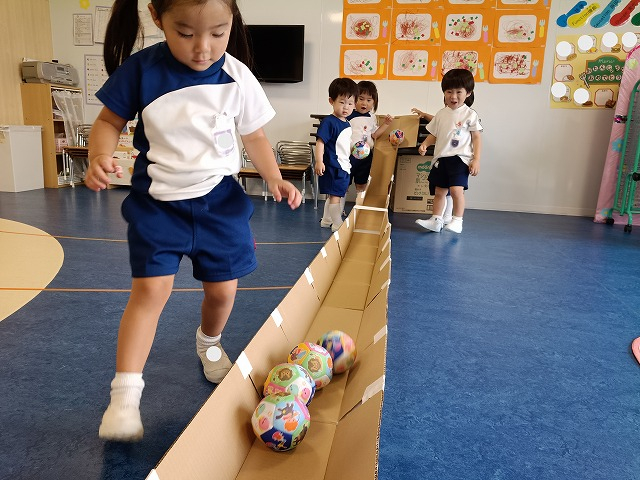 今日のいるか組