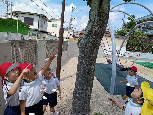 オクラスタンプをしました！