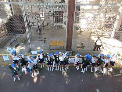 年少・年中遠足(池田動物園)