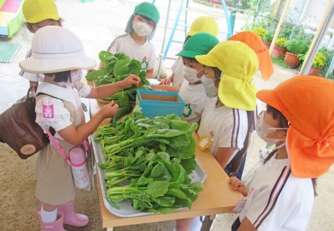 食育