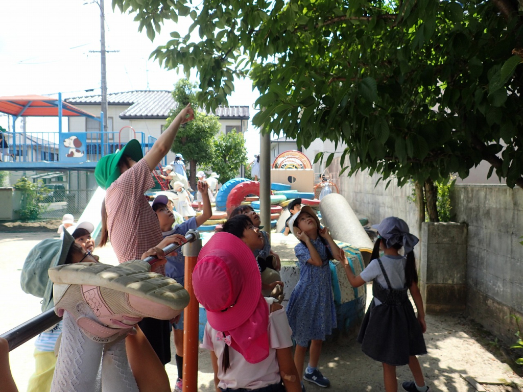 園生活の思い出