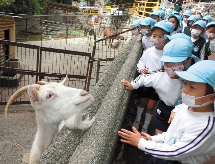 動物との触れ合い