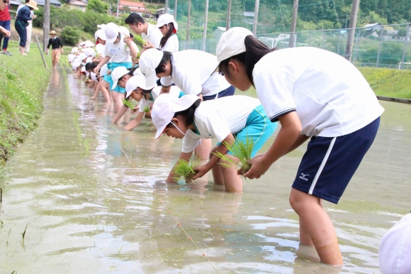 中学生と田植えをしました