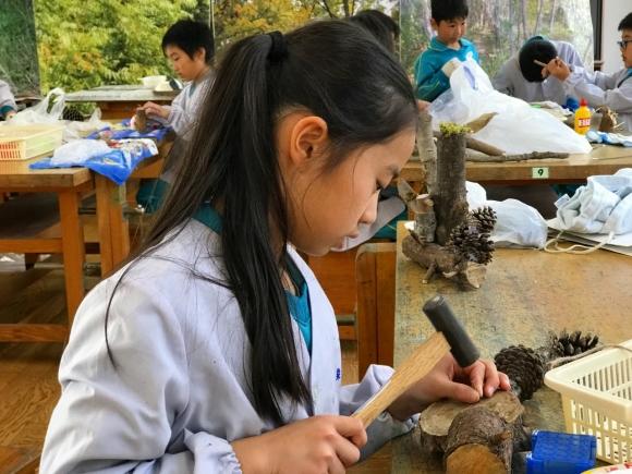 塾小の森に住む不思議な生き物