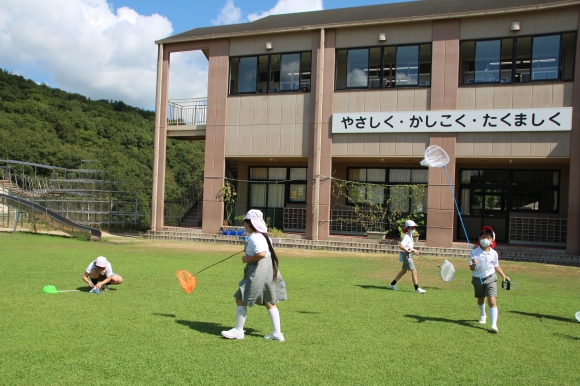 理科の学習で虫捕りをしました！