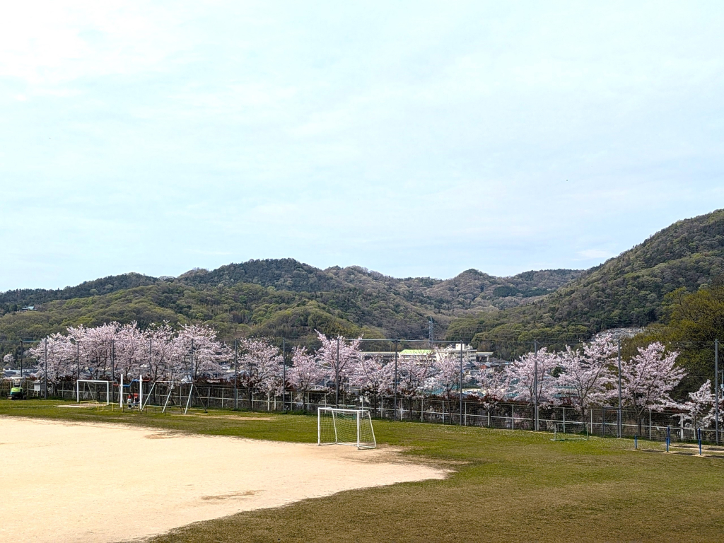 令和６年度の学校生活がスタートしました！