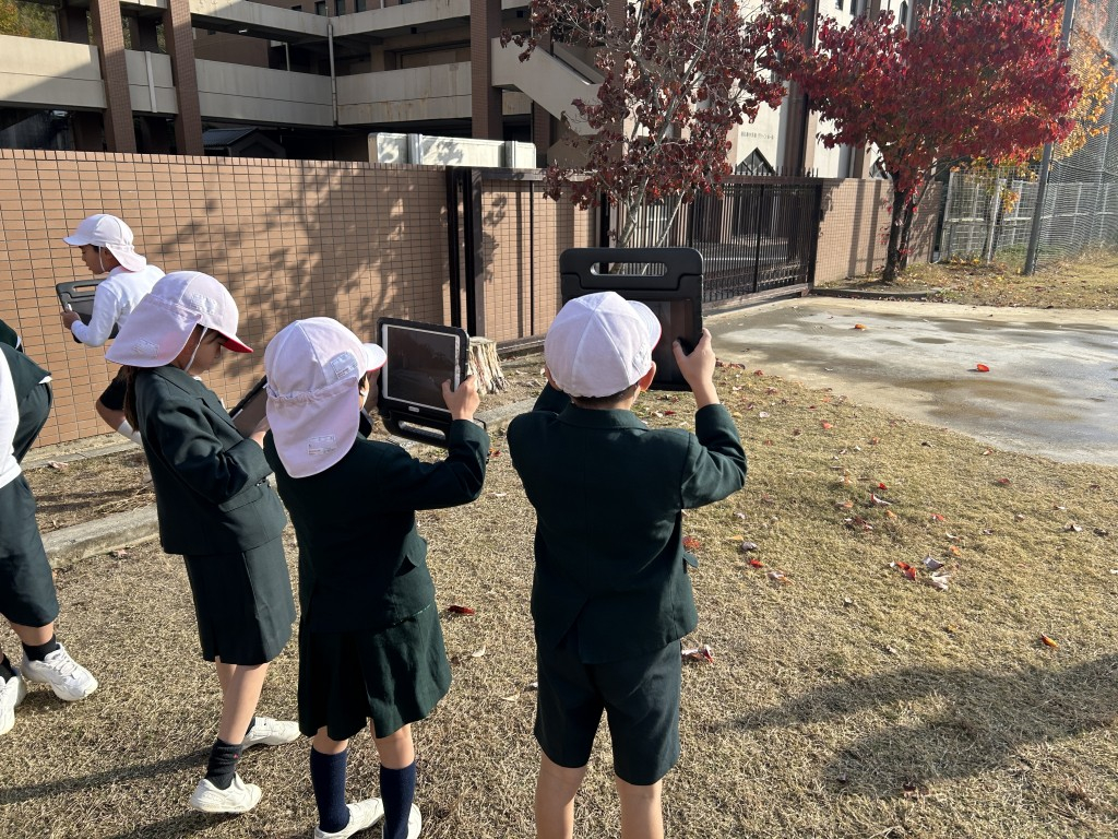 生活科「秋さがし」