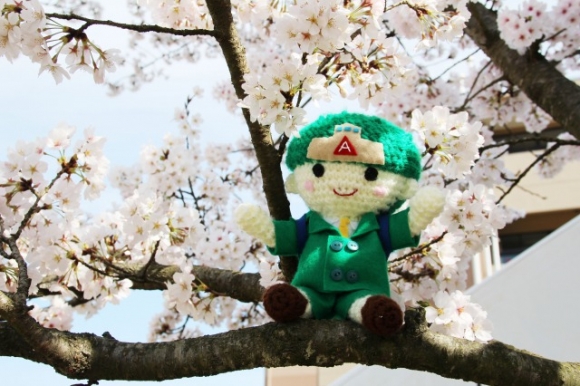 お花見をしたよ