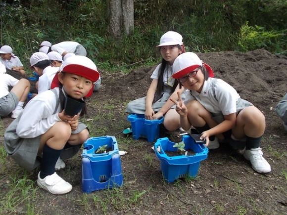 植え替えをしたよ！