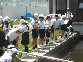 浄水場見学