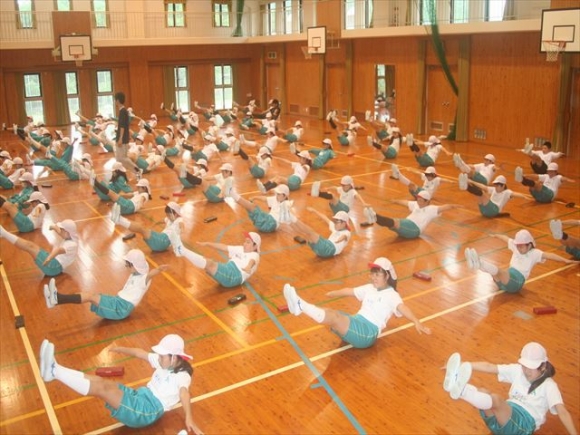 合同体育