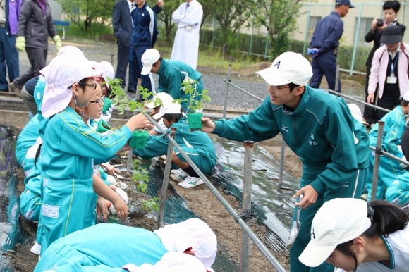 野菜の苗植え体験に行ってきました