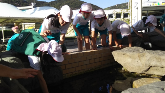海の学習１日目その２