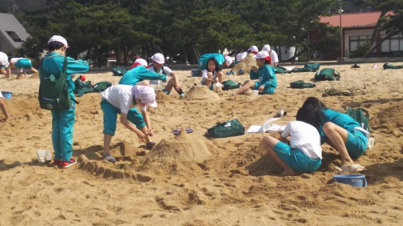 海の学習２日め