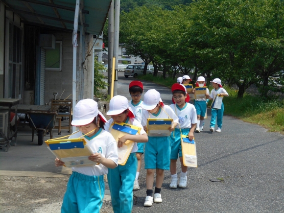 学校の周り探検に行きました。