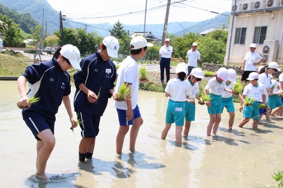 中等との交流会　田植えをしました