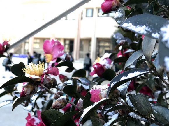 うっすらと雪が・・・。