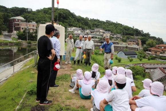 創意自然　鯉の放流