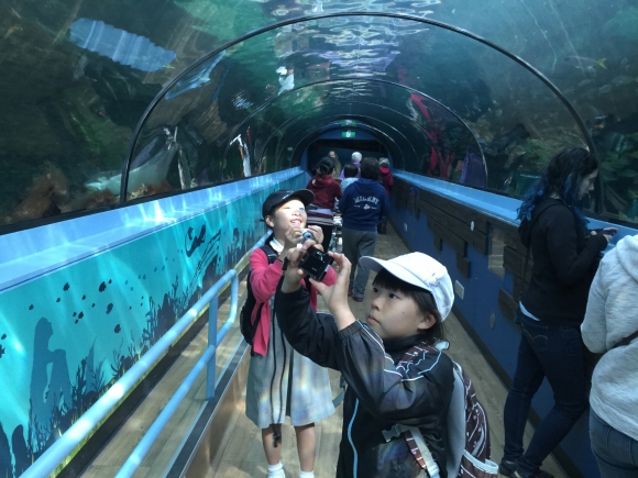 水族館に行きました