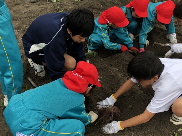 中等教育学校の生徒と交流しました。