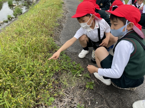 学校のまわり探検に行きました！