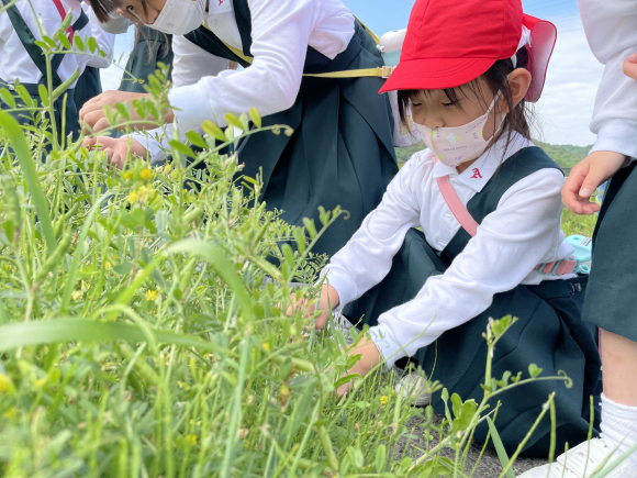 学校の周り探検に行ったよ！