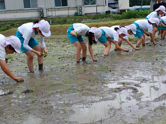 田植え・中等２年生と交流