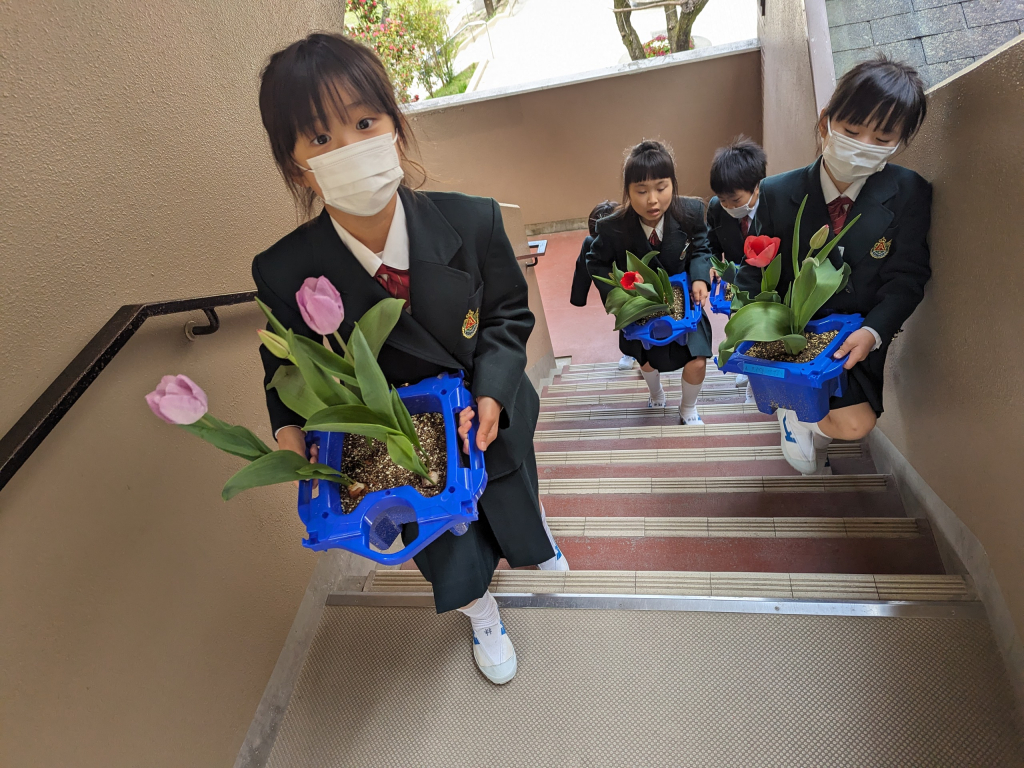 入学式の準備。育てたお花を飾りました。