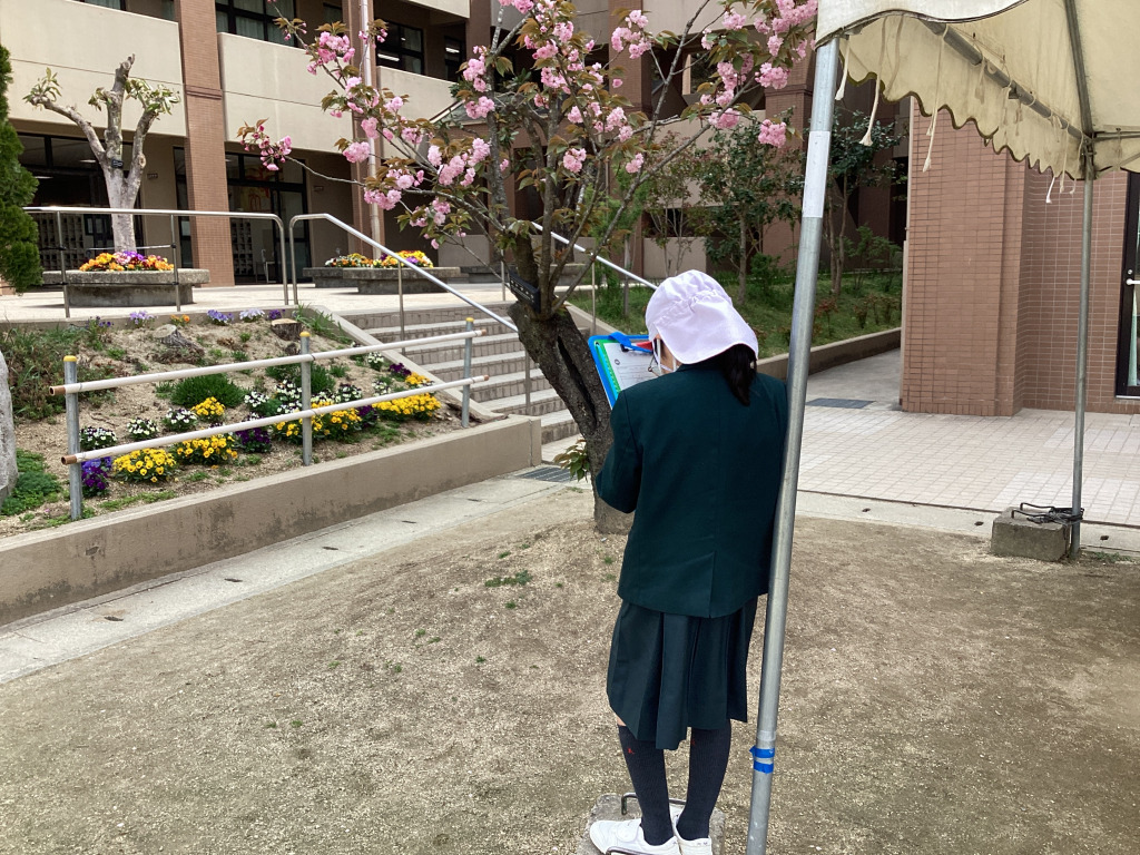 理科