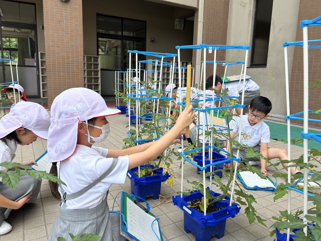 めざせ、かんさつ名人！